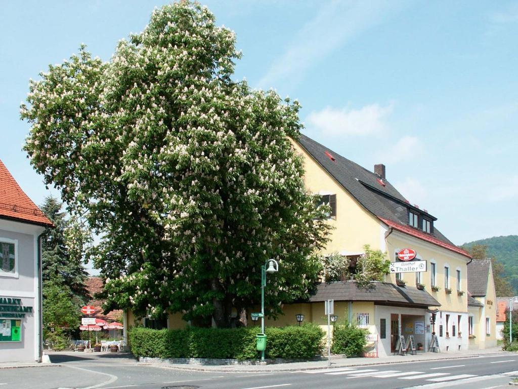 Gasthof Thaller Otel Lebring Dış mekan fotoğraf